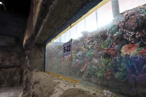 Türkiye’nin İlk Tatlı Su Tünelli Kocaeli Akvaryumu Açılıyor: Su Altında Dünya Turu Başlıyor!