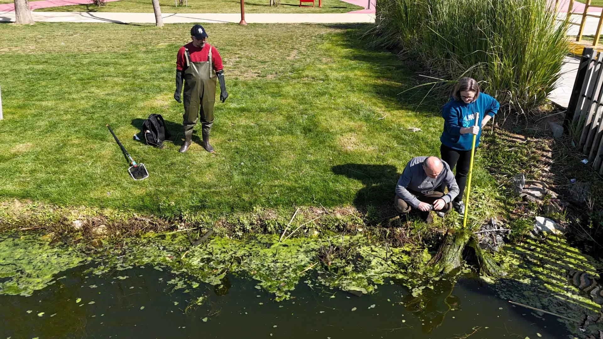 Kocaeli İzmit Millet Bahçesi Göletinde Bilimsel Su Kalitesi İyileştirme Projesi