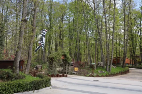 Kocaeli Ormanya’da Bahar Coşkusu: Doğa Parkurları, Kamp ve Kuş Gözlemi Başladı