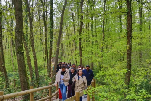 Kocaeli, İskeçeli Sporcuları Ağırladı: Dostluk Maçı Öncesi Ormanya ve Kuzuyayla’da Doğa Keyfi