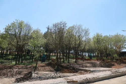 Başkan Büyükgöz Duyurdu: Pelitli Bayraktepe Gebze’nin Yeni Nefesi Olacak