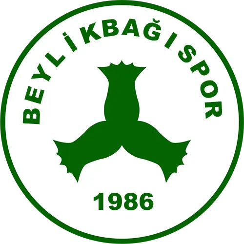 A TAKIM GERİ DÖNÜYOR