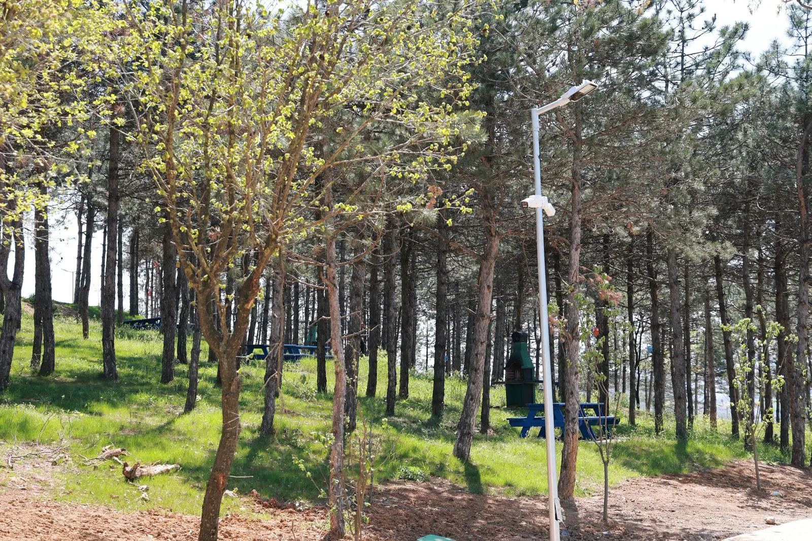 Bayraktepe'ye Yakın Markaj