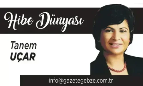  Kentler Arası Ağ Geliştirme Hibe Programı Beşinci Açık Çağrısı