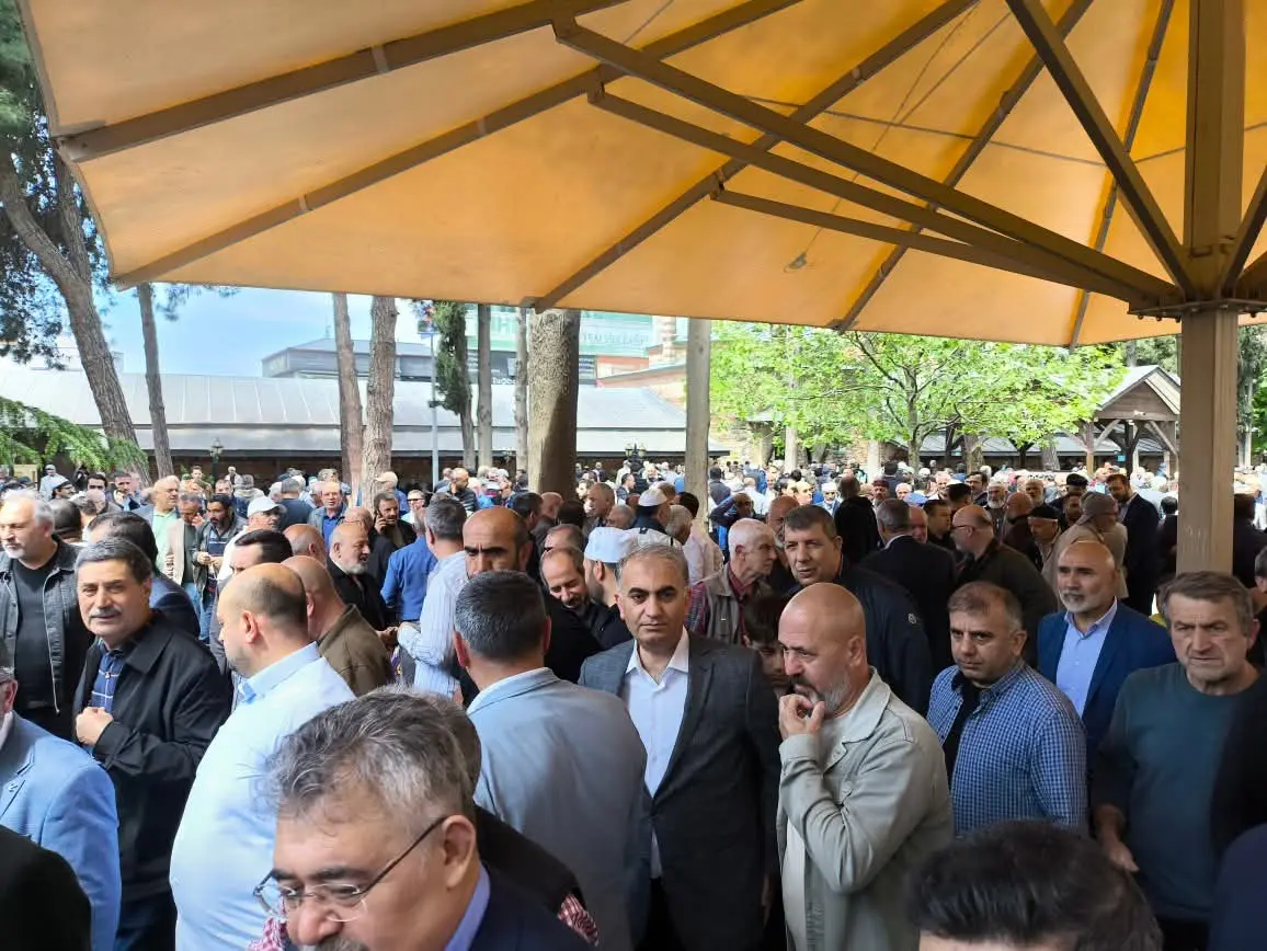 GEBZE’DE BİR ÇINAR DEVRİLDİ