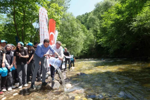 Kocaeli Kiraz Dere’ye 50.000 Alabalık Yavrusu Salındı: Büyükşehir’den Balıklandırma Hamlesi