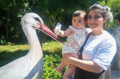 Kocaeli Ormanya’da Yavru Leylek Atlas’a Sürpriz Doğum Günü Kutlaması