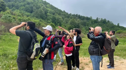 Kocaeli Kuzuyayla Biyoçeşitliliği “Tür Say” Etkinliğiyle Kayıt Altında