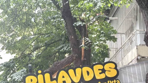 İzmit’te Yaşlı Ağaç Lokanta Çatısına Devrildi: Büyük Maddi Hasar Var