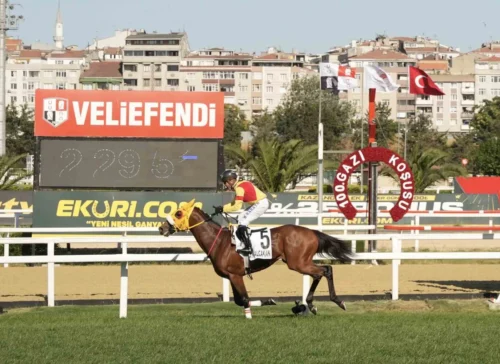 100. Gazi Koşusu’nu Bay Nalçakan Kazandı: Halis Karataş’tan Tarihi 7. Şampiyonluk!
