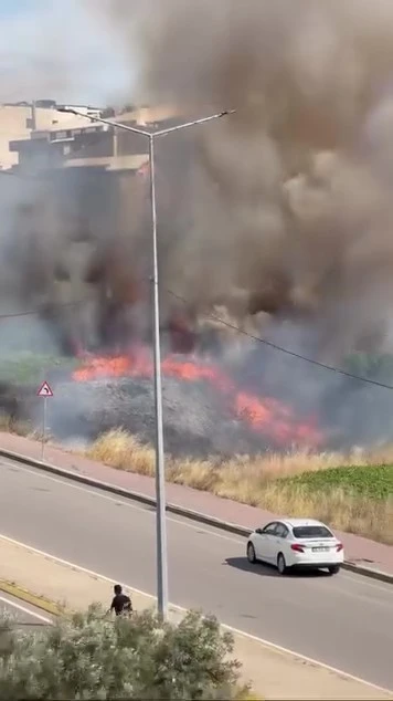 Kocaeli Darıca’da Boş Arazi Yangını Paniği: İtfaiye Kontrol Altına Aldı