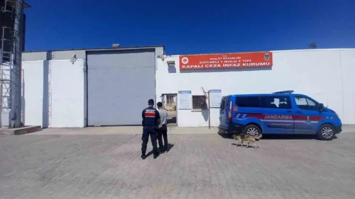 Kocaeli’de 8 Yıl 4 Ay Hapis Cezalı 2 Hükümlü JASAT Operasyonuyla Yakalandı