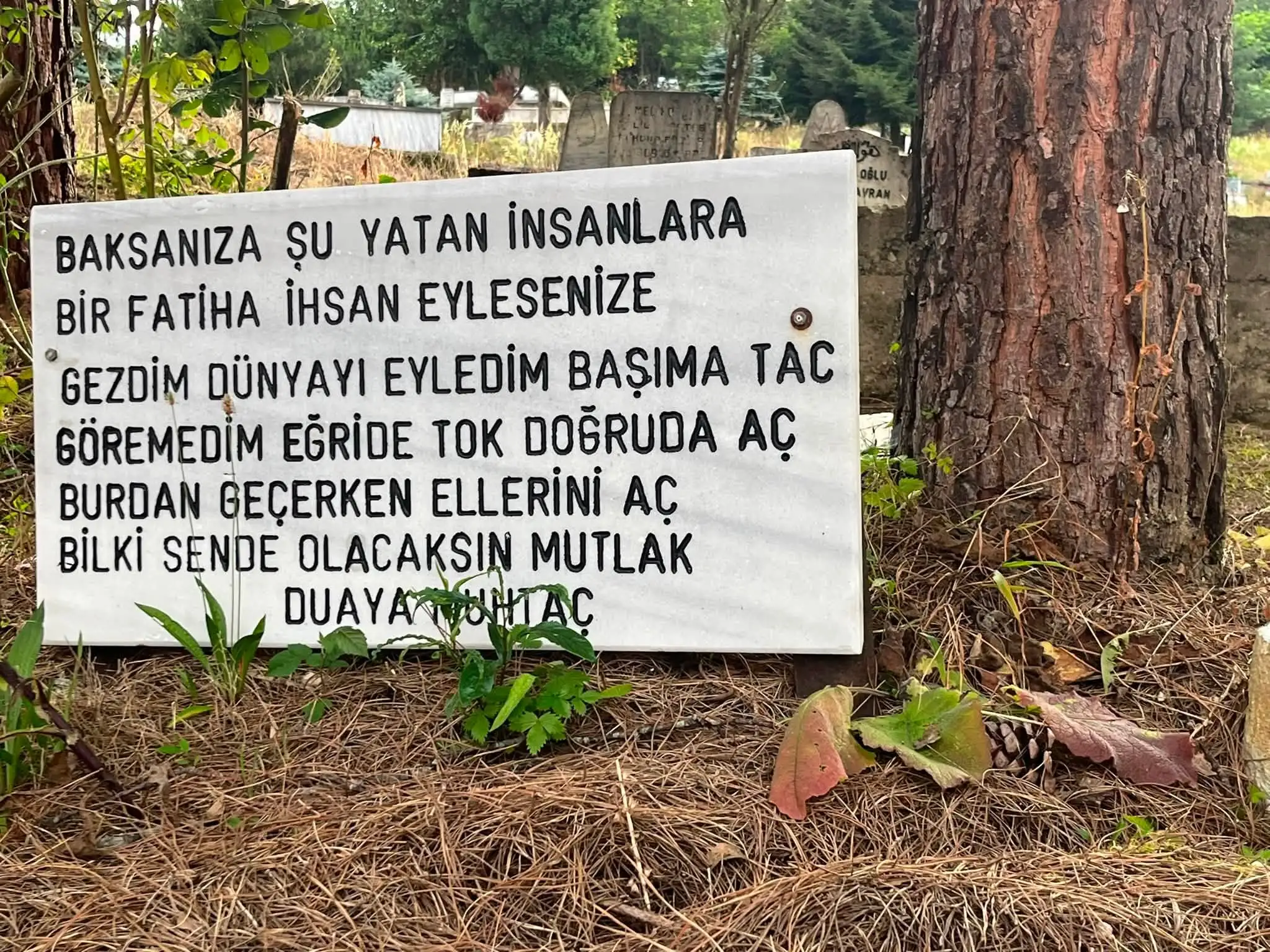 BABA OĞUL KÖY ZİYARETİNDEYİZ