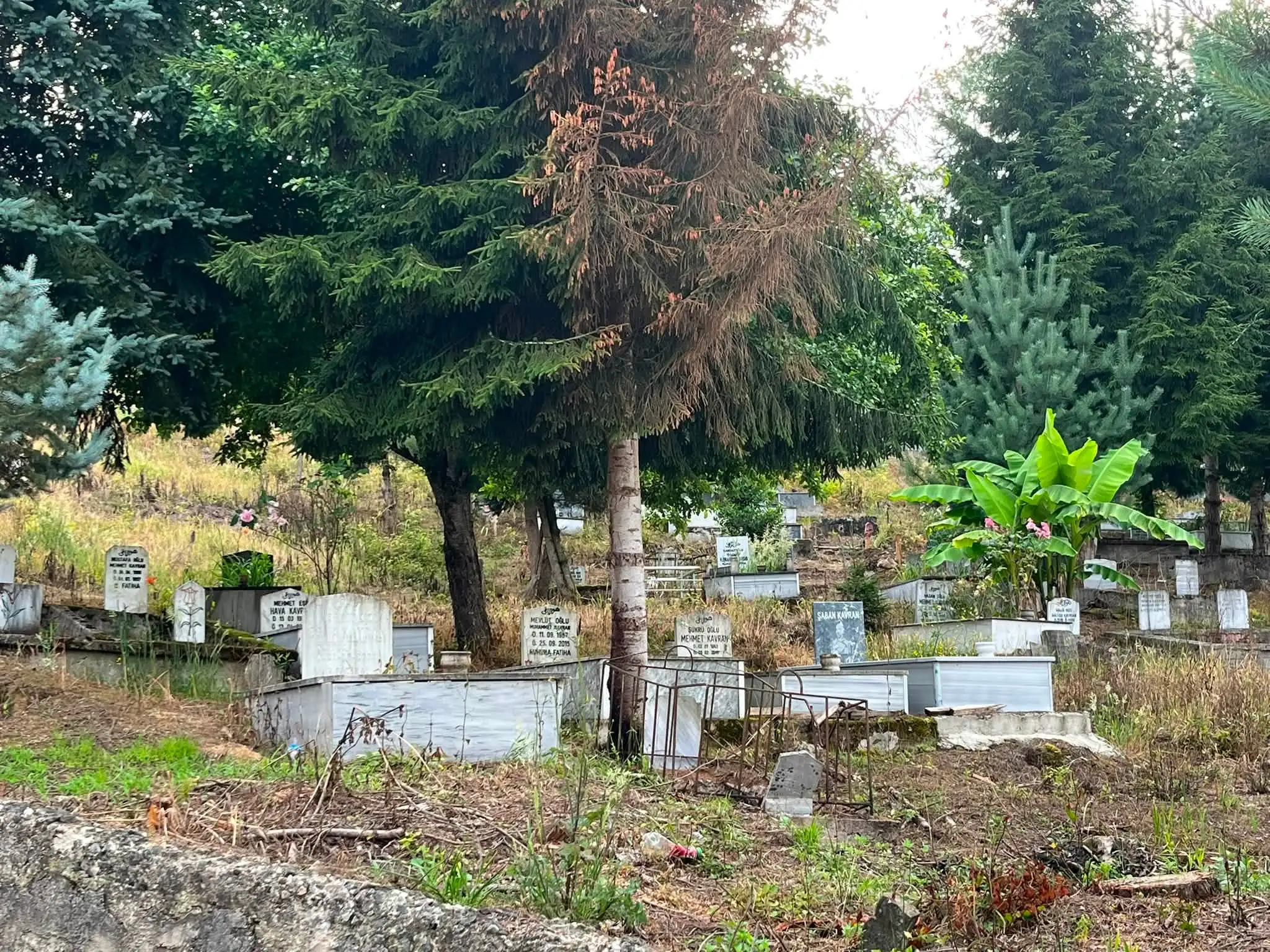 BABA OĞUL KÖY ZİYARETİNDEYİZ
