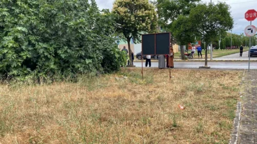 Gölcük’te Palalı Amca Cinayeti: Psikolojik Sorunları Olduğu İddia Edilen Yeğen Yakalandı