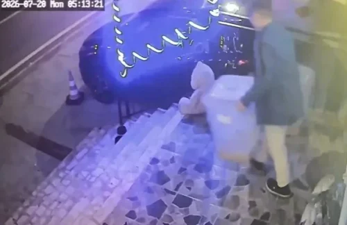 Kocaeli Körfez’de Petshop Mama Kutusu Hırsızlığı Kamerada