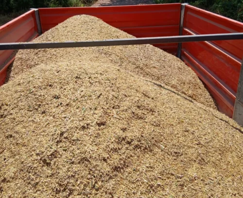 İzmit Belediyesi Kendi Arazilerinden Üretilen 1500 KG Unu Aşevi’ne Teslim Etti