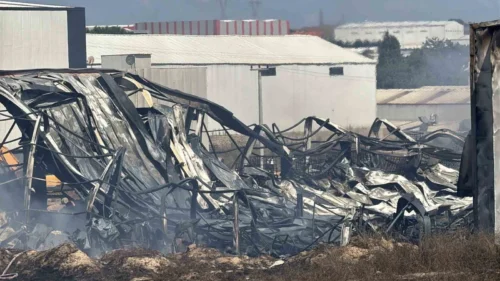 Gebze Kimya Fabrikası Yangını: 2 İşçi Yaralandı, 2 At Telef Oldu