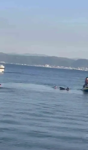 Kocaeli Darıca’da Denizde Boğulma Tehlikesi Geçiren Genç Kurtarıldı