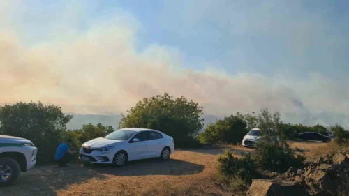 Gebze Orman Yangınına Havadan ve Karadan Müdahale Sürüyor: Kocaeli Valiliği’nden Uyarı