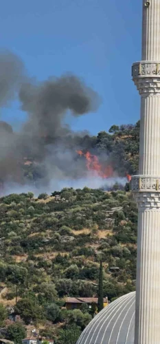 Kocaeli Gebze Mollafenari Orman Yangını: Ballıkayalar’a İlerliyor