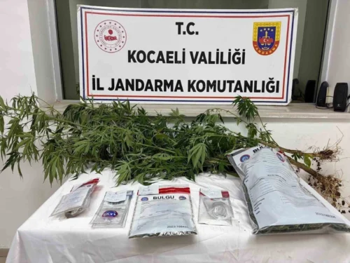 Kocaeli’de Jandarmadan Narkotik Operasyonu: Esrar, Metamfetamin ve Kenevir Ele Geçirildi