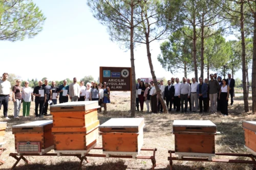 Kocaeli Tarım Akademisi’nde Ana Arı ve Arı Sütü Üretimi Sertifikaları Verildi