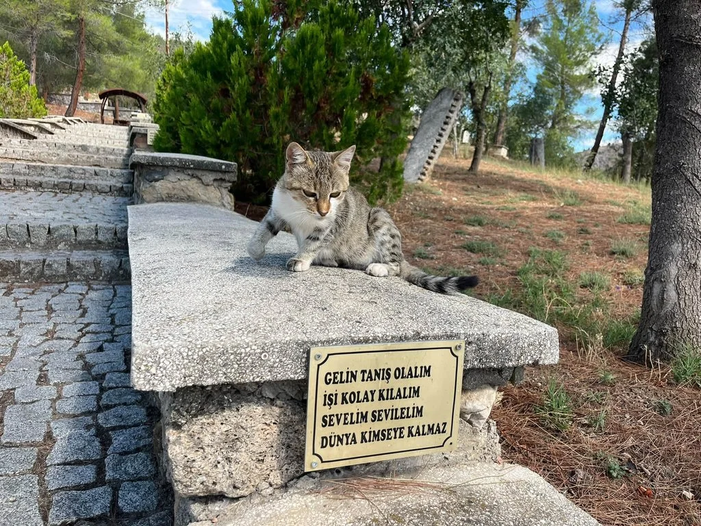 YUNUS EMRENİN HOCASI TAPDUK EMRENİN KÖYÜNDEN ANKARA NALLIHAN DAN SELAM VE DUA İLE