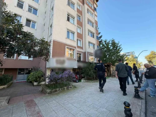 Kocaeli İzmit’te Eski Eş Cinayeti: Mal Paylaşımı Davası Günü Dehşet
