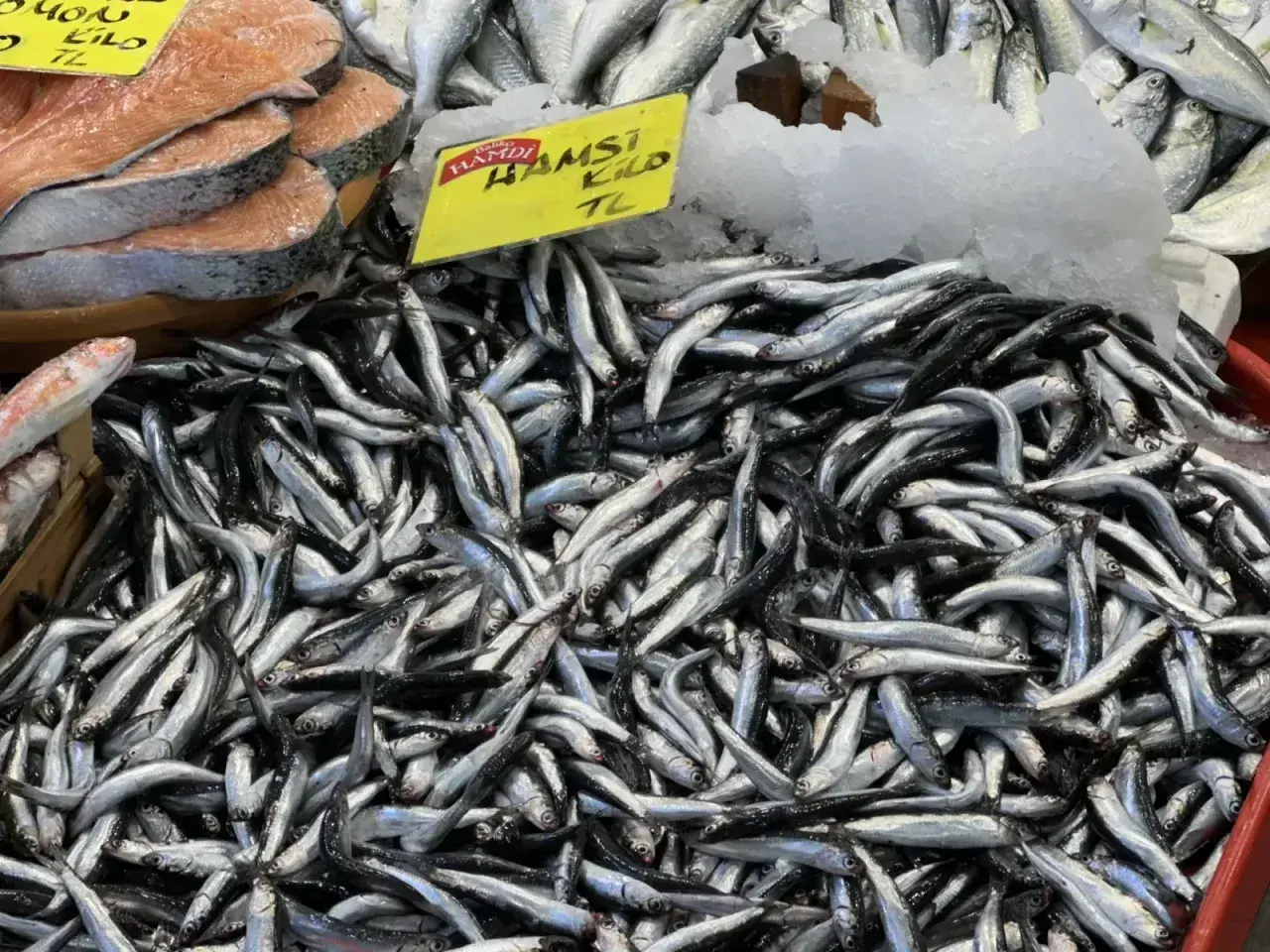 İzmit Balıkhan’da hamsi ve palamutta fiyatlar geriledi