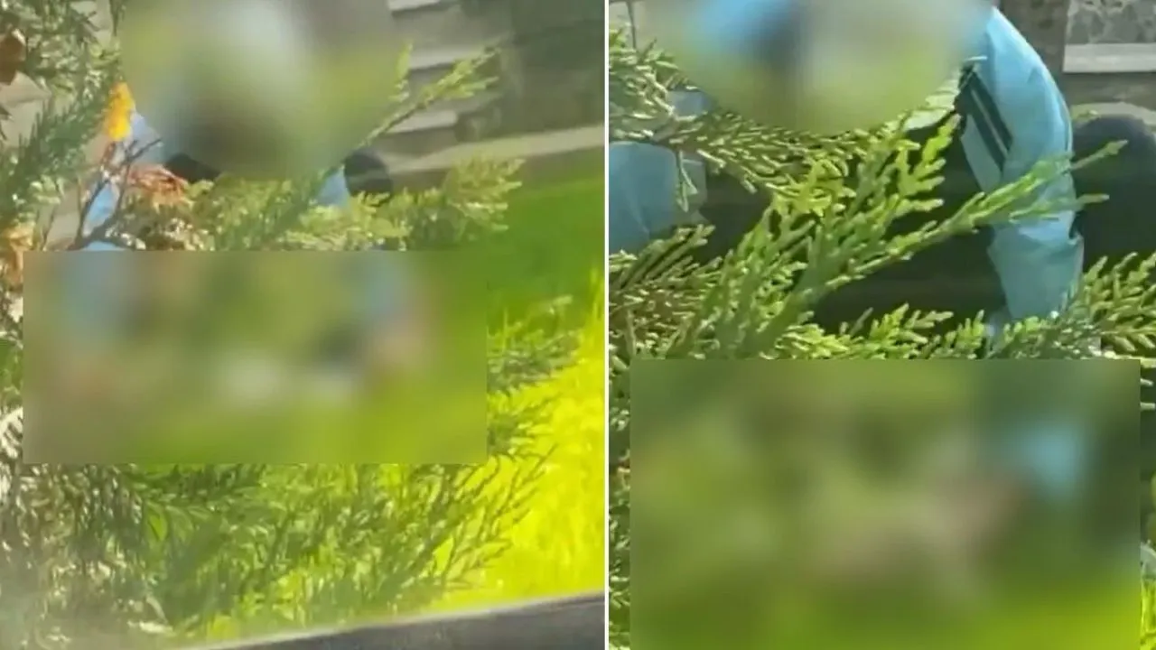 Şişli’de köpeğe yönelik cinsel istismar anları kamerada