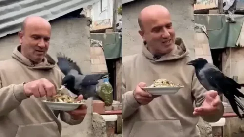 Ömer Tek’in 4 yıllık kargasıyla dostluğu yürekleri ısıttı