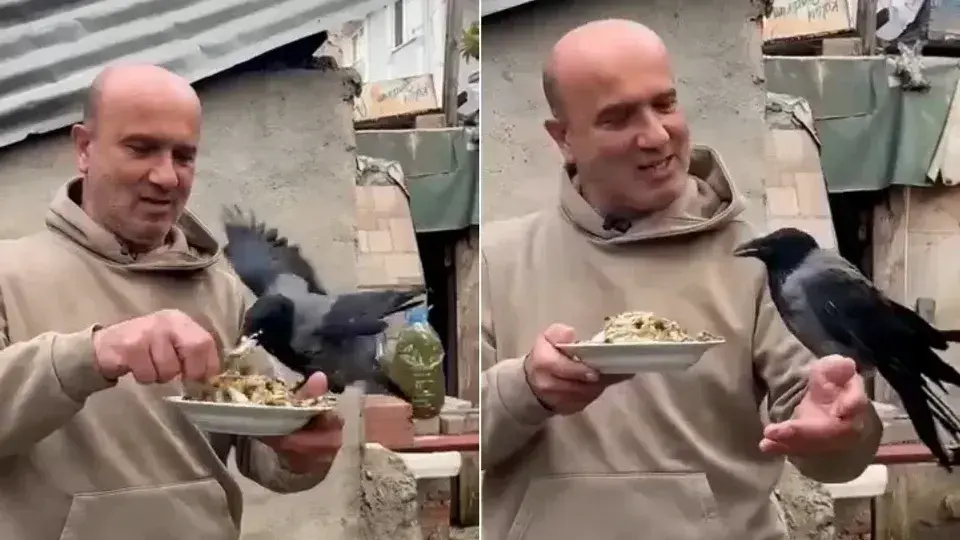 Ömer Tek’in 4 yıllık kargasıyla dostluğu yürekleri ısıttı