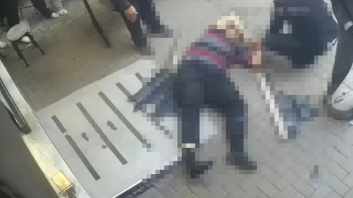 Yavru kediyi kurtarmak isterken trajik bir sonla karşılaştı