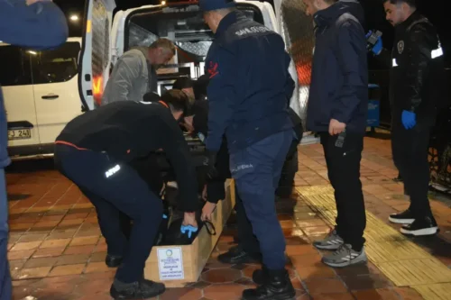 Ordu’da Denize Atlama Trajedisi: Genç Hayatını Yitirdi