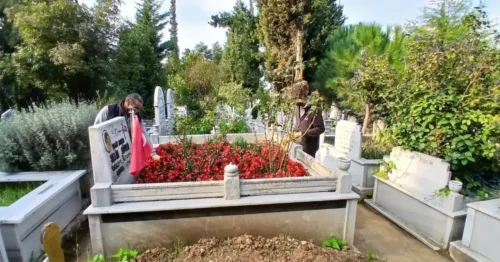 Darıca’da Parklar ve Şehitlikler Çiçeklerle Yaza Hazırlanıyor