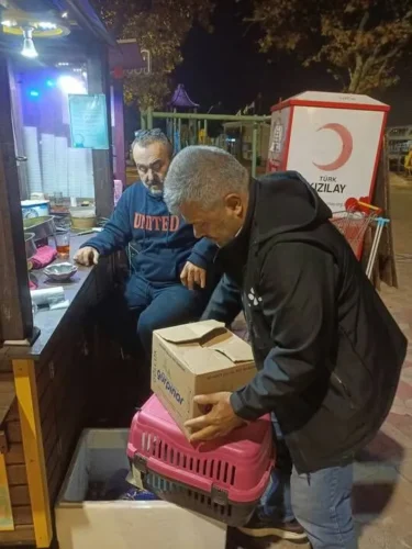 Değirmendere’de Duyarlı Vatandaş Yaralı Atmacayı Hayata Döndürdü