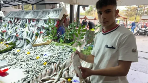Marketlerde Balık Çeşitliliği Arttı, Güncel Fiyatlar Ne Durumda?