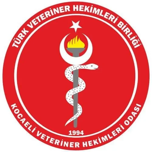 Darıca’da Veteriner Hekime Saldırı: Meslektaşlarından Büyük Tepki