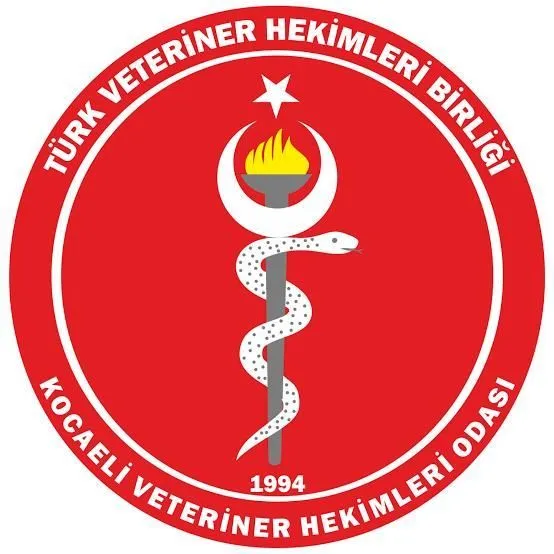 Darıca’da Veteriner Hekime Saldırı: Meslektaşlarından Büyük Tepki