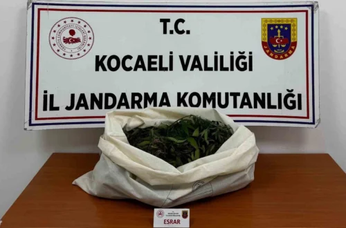 Kocaeli’de 4 İlçede Narkotik Operasyonu: 3 Kilo Esrar Ele Geçirildi, 7 Şüpheliye Adli İşlem