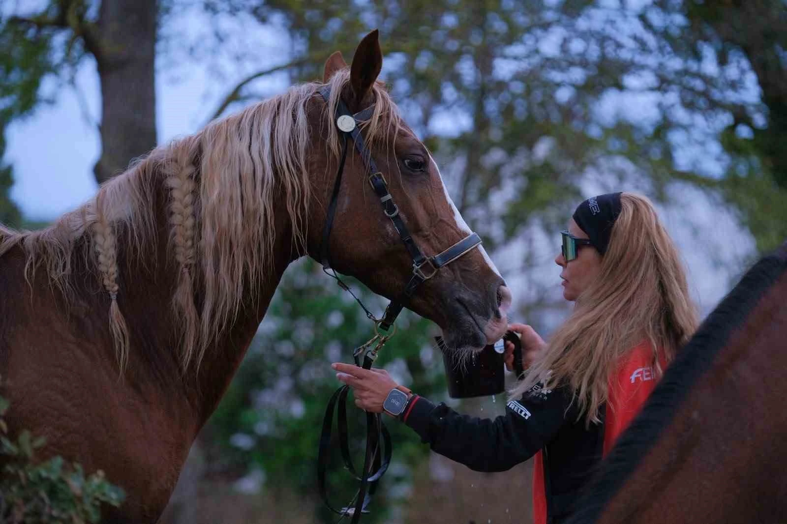 Kocaeli’de 117 binici dörtnala dayanıklılık sınavı verdi
